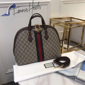 Gucci Bag 055